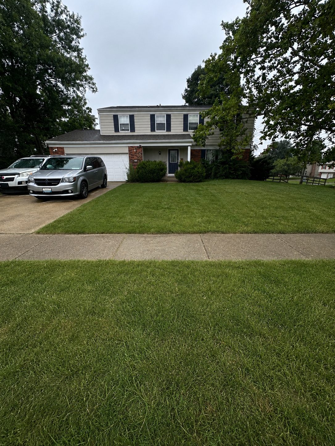 Yard restored after a sewer line replacement — DE Plumbing, Cincinnati